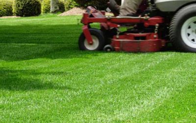 Lawn Care, Lawn Mowing, Grass Cutting, Lawn Maintenance, Lawn Care Business, Free Estimates