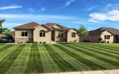 Lawn Care, Lawn Mowing, Grass Cutting, Lawn Maintenance, Lawn Care Business Lawn Care, Lawn Mowing, Grass Cutting, Lawn Maintenance, Lawn Care Business