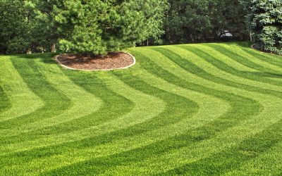 Lawn Care, Lawn Mowing, Grass Cutting, Lawn Maintenance, Lawn Care Business Lawn Care, Lawn Mowing, Grass Cutting, Lawn Maintenance, Lawn Care Business