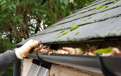 Gutter Cleaning, Gutter Clean out, Clean Leaf out of Gutters