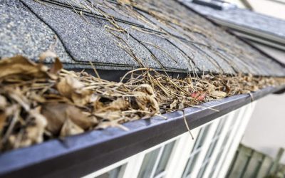 Gutter Cleaning, Gutter Clean out, Clean Leaf out of Gutters Gutter Cleaning, Gutter Clean out, Clean Leaf out of Gutters