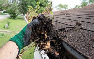 Gutter Cleaning, Gutter Clean out, Clean Leaf out of Gutters Gutter Cleaning, Gutter Clean out, Clean Leaf out of Gutters
