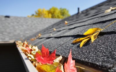 Gutter Cleaning, Gutter Clean out, Clean Leaf out of Gutters Gutter Cleaning, Gutter Clean out, Clean Leaf out of Gutters