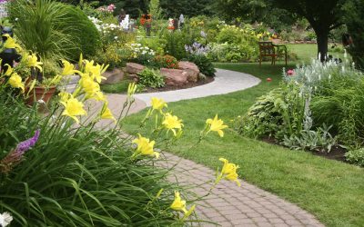Landscaping, Landscaping Company, Landscaping Contractor, Landscaping Company Landscaping, Landscaping Company, Landscaping Contractor, Landscaping Company
