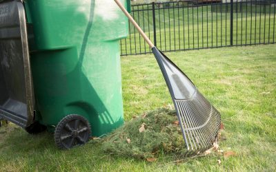 Lawn Care, Lawn Mowing, Grass Cutting, Lawn Maintenance, Lawn Care Business, Free Estimates