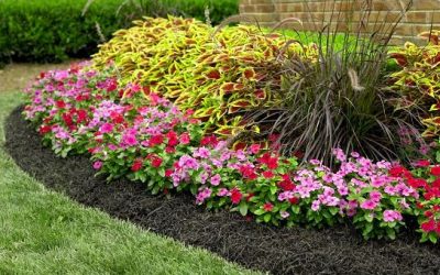 Landscaping, Landscaping Company, Landscaping Contractor, Landscaping Company Landscaping, Landscaping Company, Landscaping Contractor, Landscaping Company