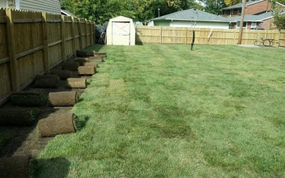Sod Installation, Sod Installer, New Sod, Sod Company, Sod Contractor