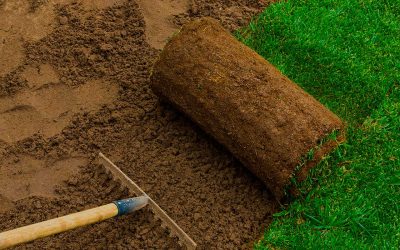 Sod Installation, Sod Installer, Sod Company, Sod Contractor