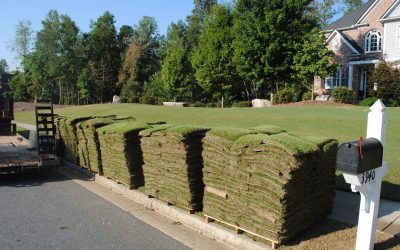 Sod Installation, Sod Installer, New Sod, Sod Company, Sod Contractor