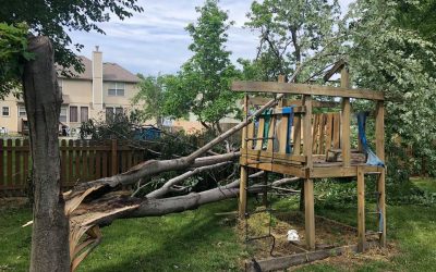 Tree Service, Tree Removal, Tree Care, Tree Trimming, Tree Cutting, Tree Company, Gutter Cleaning, Leaf Removal Tree Service, Tree Removal, Tree Care, Tree Trimming, Tree Cutting, Tree Company, Gutter Cleaning, Leaf Removal