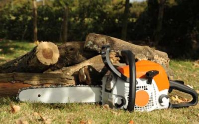 Tree Service, Tree Removal, Tree Care, Tree Trimming, Tree Cutting, Tree Company, Gutter Cleaning, Leaf Removal Tree Service, Tree Removal, Tree Care, Tree Trimming, Tree Cutting, Tree Company, Gutter Cleaning, Leaf Removal