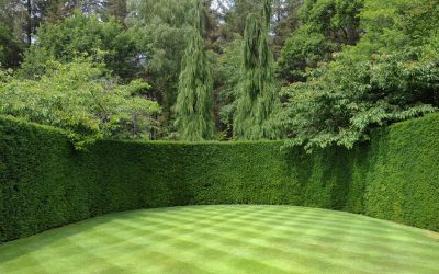 lawn-care-murfreesboro-tn lawn-care-murfreesboro-tn