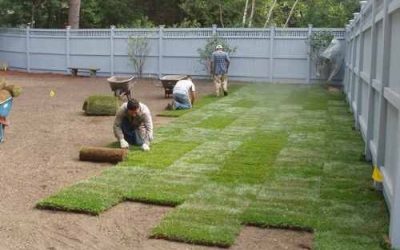 Sod Installation, Sod Installer, New Sod, Sod Company, Sod Contractor
