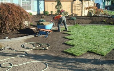 Sod Installation, Sod Installer, New Sod, Sod Company, Sod Contractor